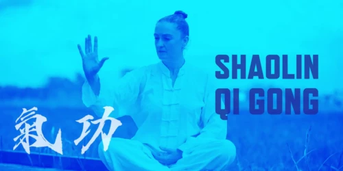 Qi Gong Course